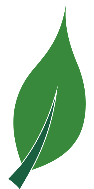 Blad, Blader, Natur, Anlegg, Grønn, Vår