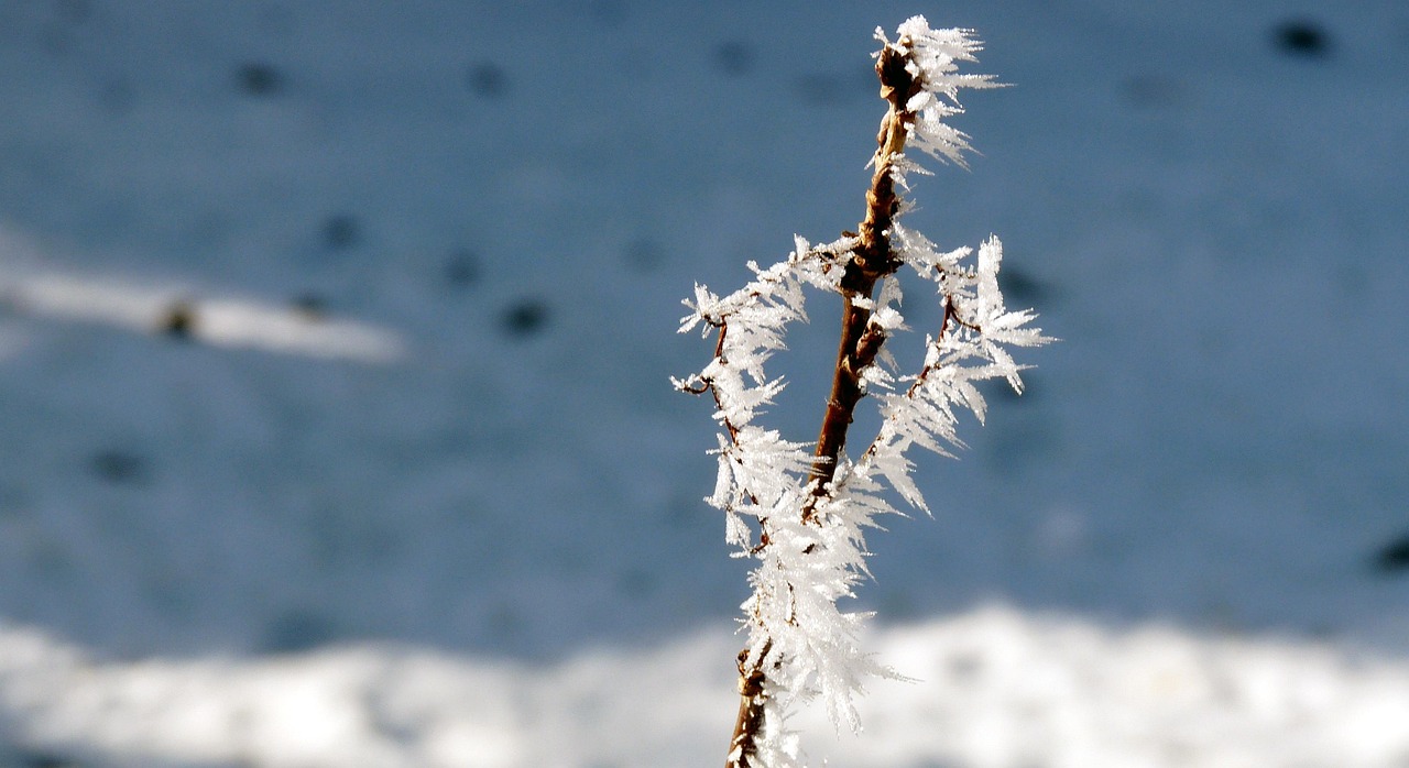 冬天 雪 冰 - Pixabay上的免费照片 - Pixabay