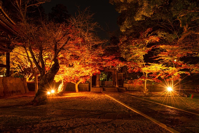 Free Shrine Autumn Leaves photo and picture