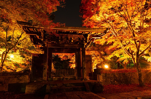 Free Shrine Autumn Leaves photo and picture