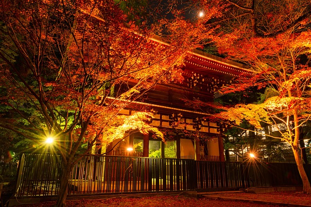 Free Shrine Autumn Leaves photo and picture