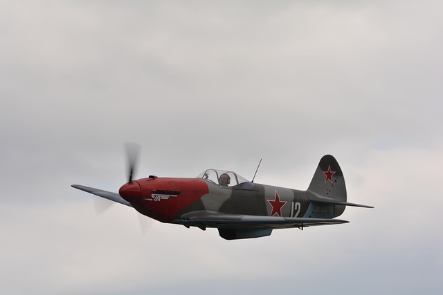 Free Soviet Plane photo and picture