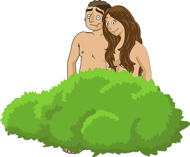Free adam and eve adam eve vector