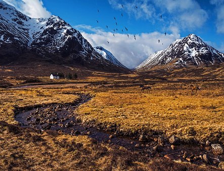Free Landscape Meadow photo and picture