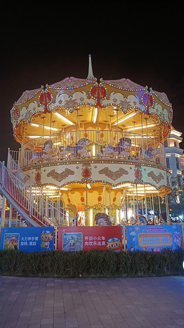 Free Carousel Night View photo and picture