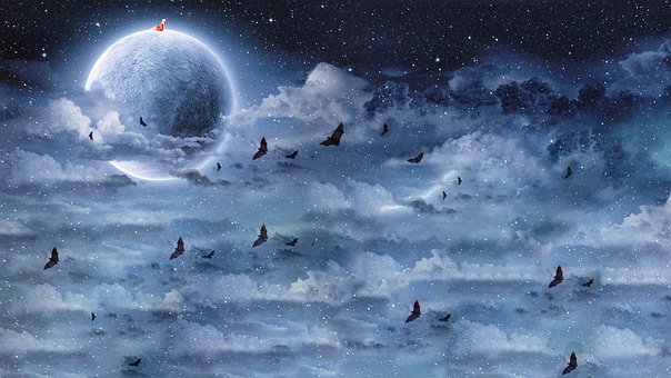 Free Black Night photo and picture