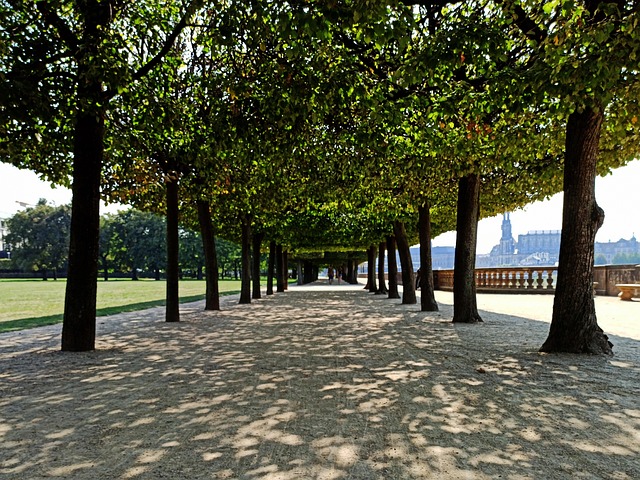 Free Path Dresden photo and picture