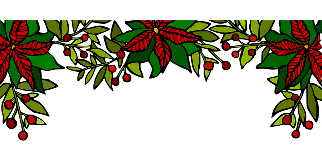 Weihnachtsstern, Stechpalme, Saum