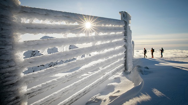 Vinter, Bjerge, Slovakiet, Jasna, Chopok
