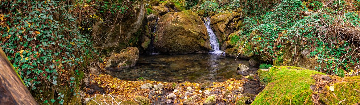 Free Autumn Ecosphere photo and picture