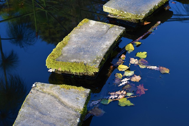 Free Lake Peace photo and picture