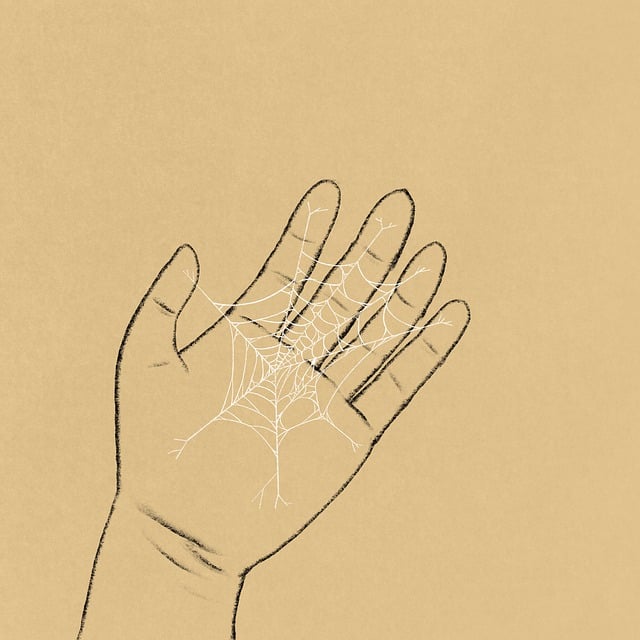 Free hand spider web cartoon illustration