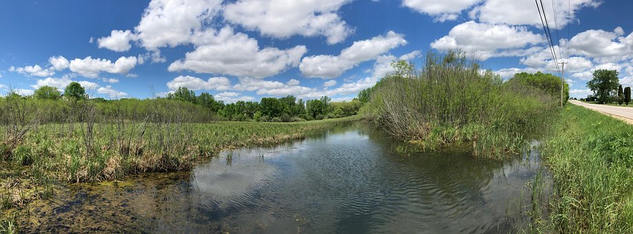 Free Marsh Wetlands photo and picture