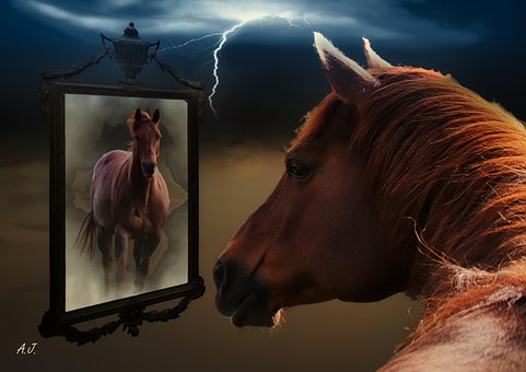 Free Horse Composing photo and picture