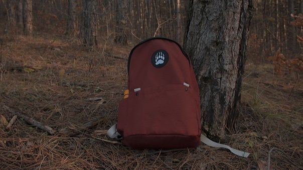 Sac, Roșu, Pădure, Urs, Laba, Marca