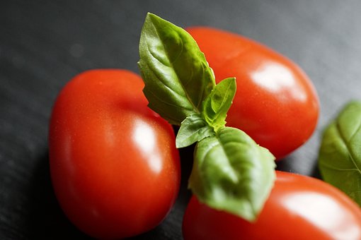 basil-5787421__340.jpg