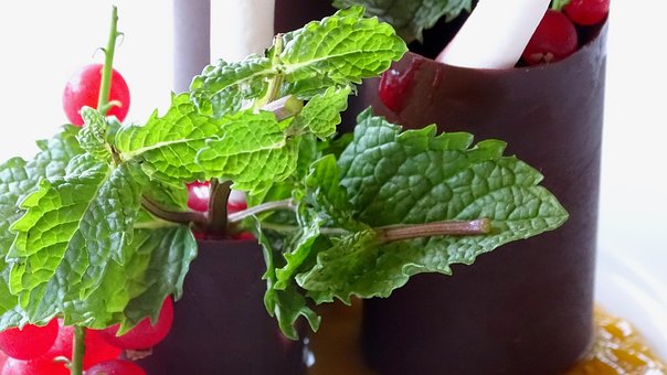 Free Mint Dessert photo and picture