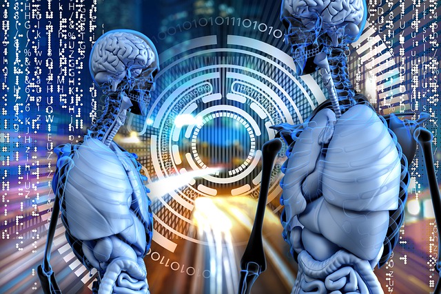 Free people brains organs illustration