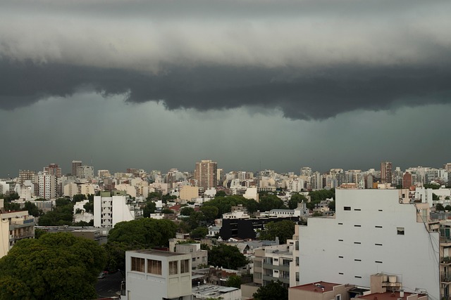 Free City Rain photo and picture