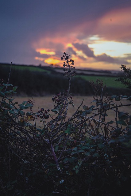 St Nur In Roseland, Cornwall
