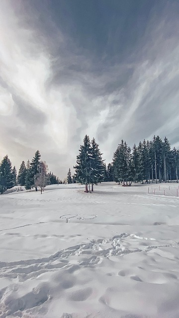 Schnee, Bäume, Winter, Natur, Landschaft