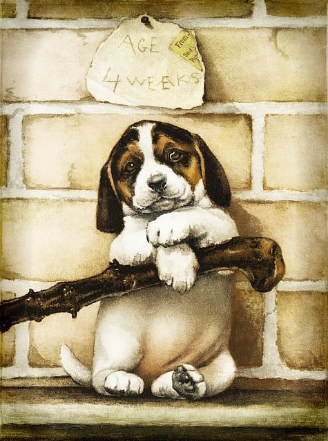 Free dog puppy vintage illustration