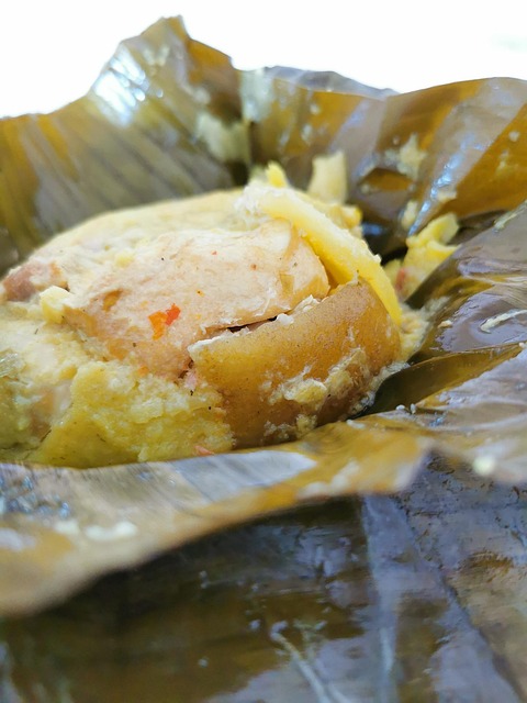 Free Tamale Tolima photo and picture