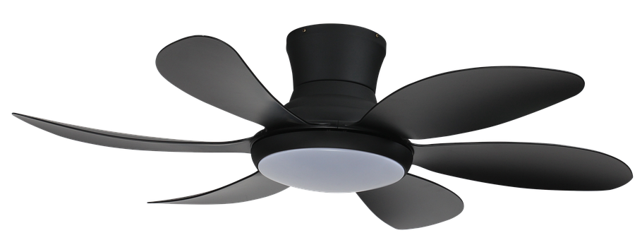 Free Ceiling Fan Lighting illustration and picture