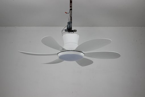 Free Ceiling Fan Lighting photo and picture