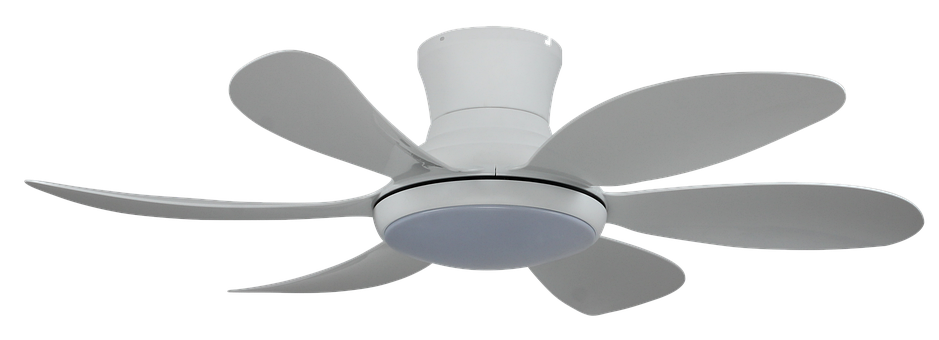 Free Ceiling Fan Lighting illustration and picture
