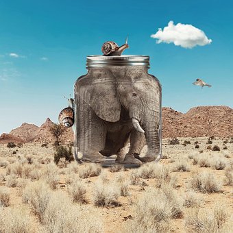Tutorials, Tiere, Elefant