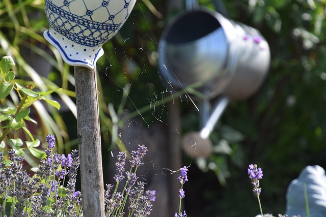Free Garden Deco photo and picture