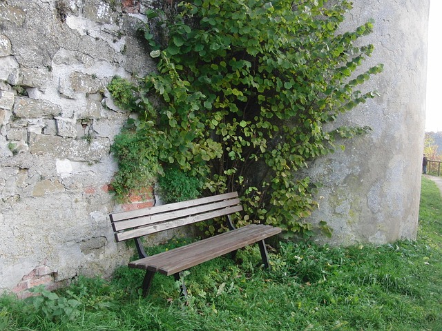 Free Bank Wall photo and picture