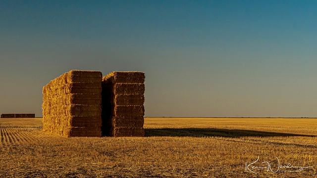 Free Agriculture Landscape photo and picture
