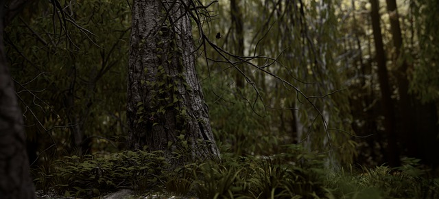 Free trees forest rainforest illustration