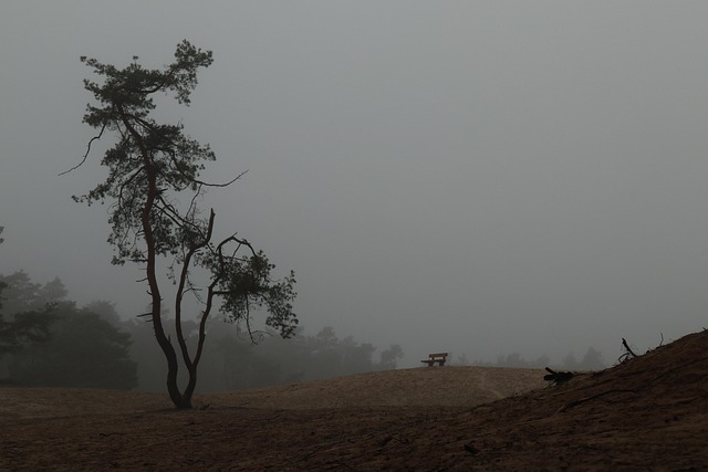Free Fog Mist photo and picture