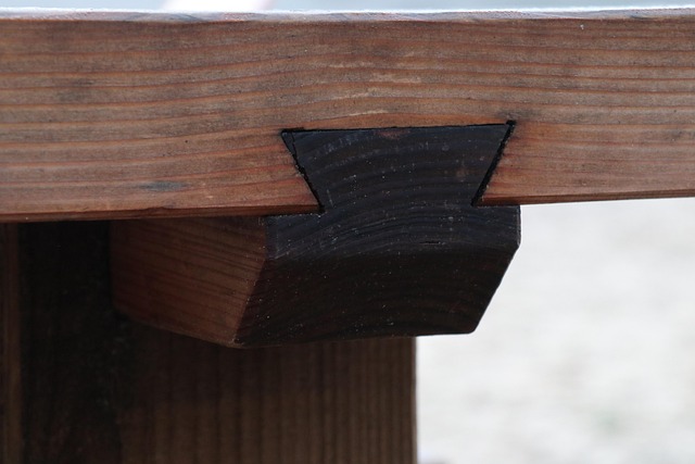 Free Joint Swallow'S Tail photo and picture