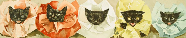 Katzen, Natur, Kätzchen, Haustier