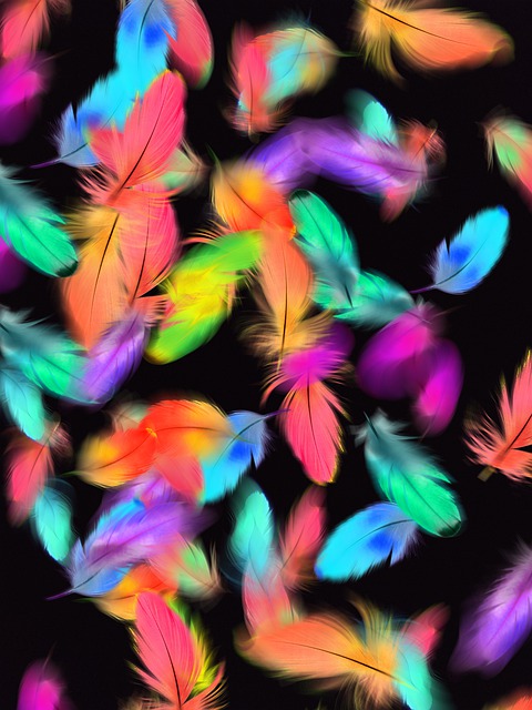 Download free HD stock image of Feathers Plumage Free feathers plumage lightweight illustration