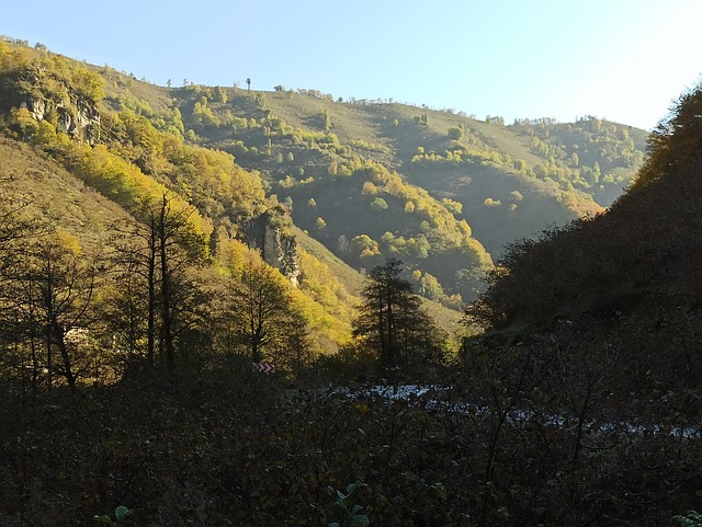 Free Will Find Giresun photo and picture