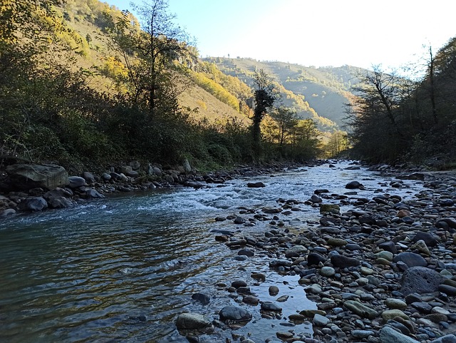 Free Will Find Giresun photo and picture