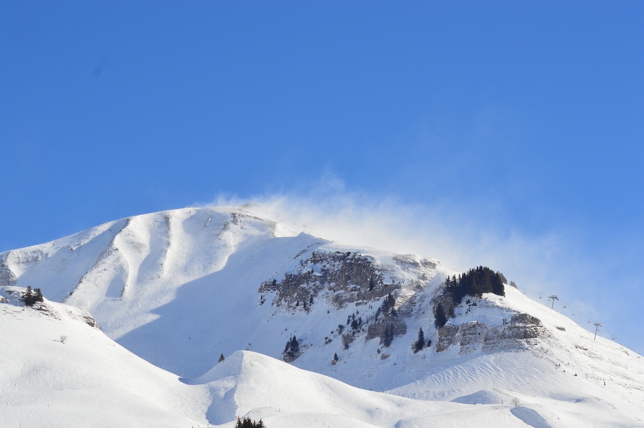 NEIGE