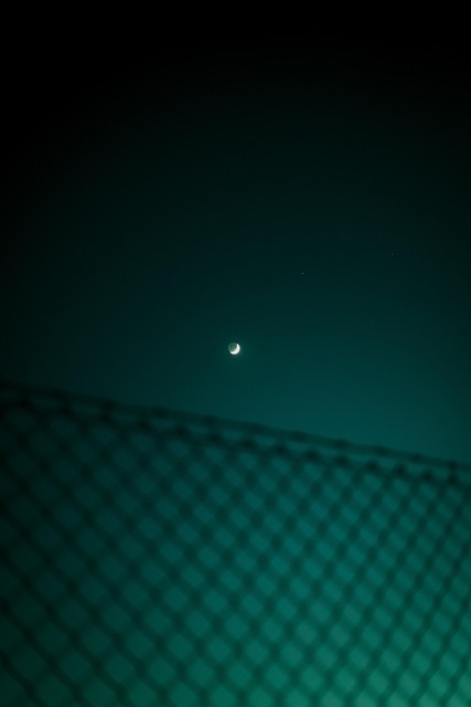 Free Moon Night photo and picture