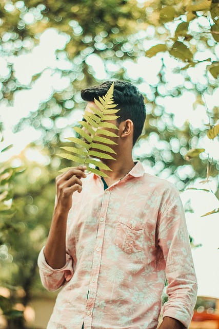 Free Fern Green photo and picture