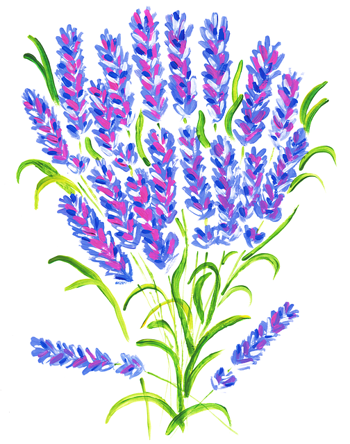 Free lavender flowers purple vector