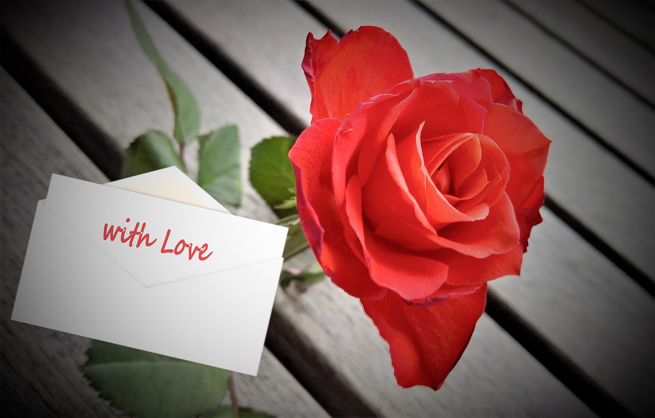 Rose - free online jigsaw puzzle photo