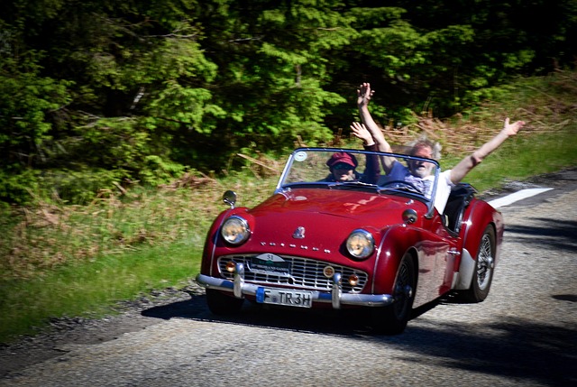 Free Driving Pleasure Triumph photo and picture