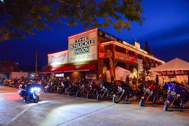 Free Harley Davidson Meet photo and picture