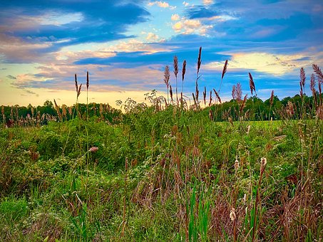 Free Sunset Nature photo and picture