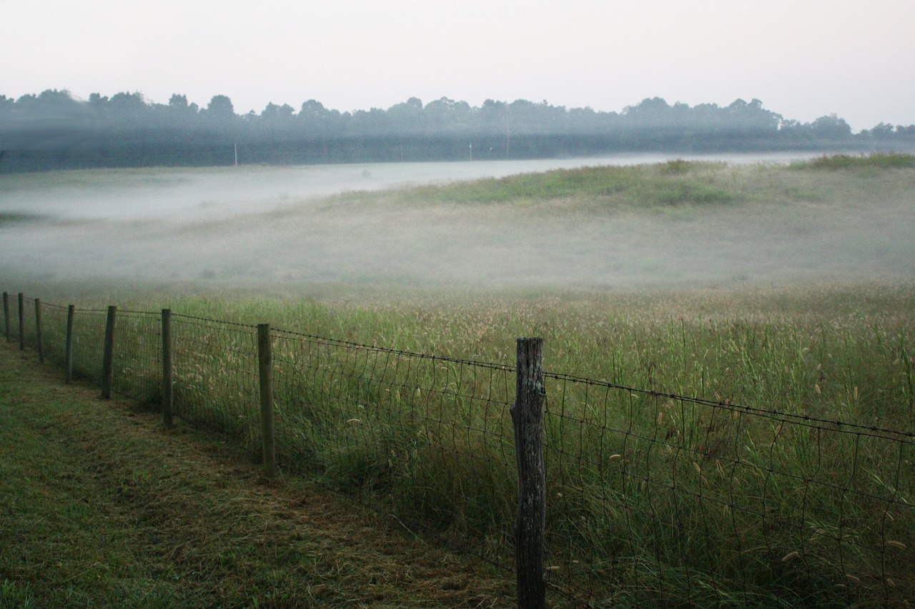 Fence Farm Fog - Free photo on Pixabay